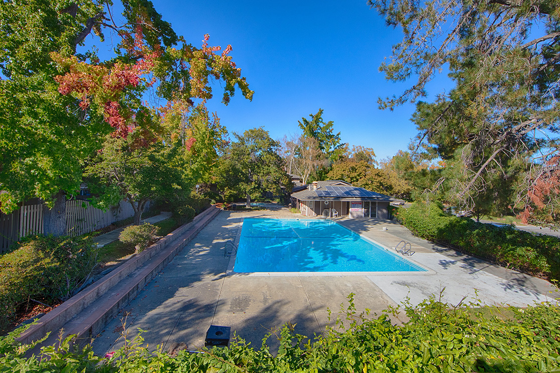 Swimming Pool (A) Picture - 10584 White Fir Ct, Cupertino 95014 Swimming Pool (A) picture - 10584 White Fir Ct, Cupertino 95014