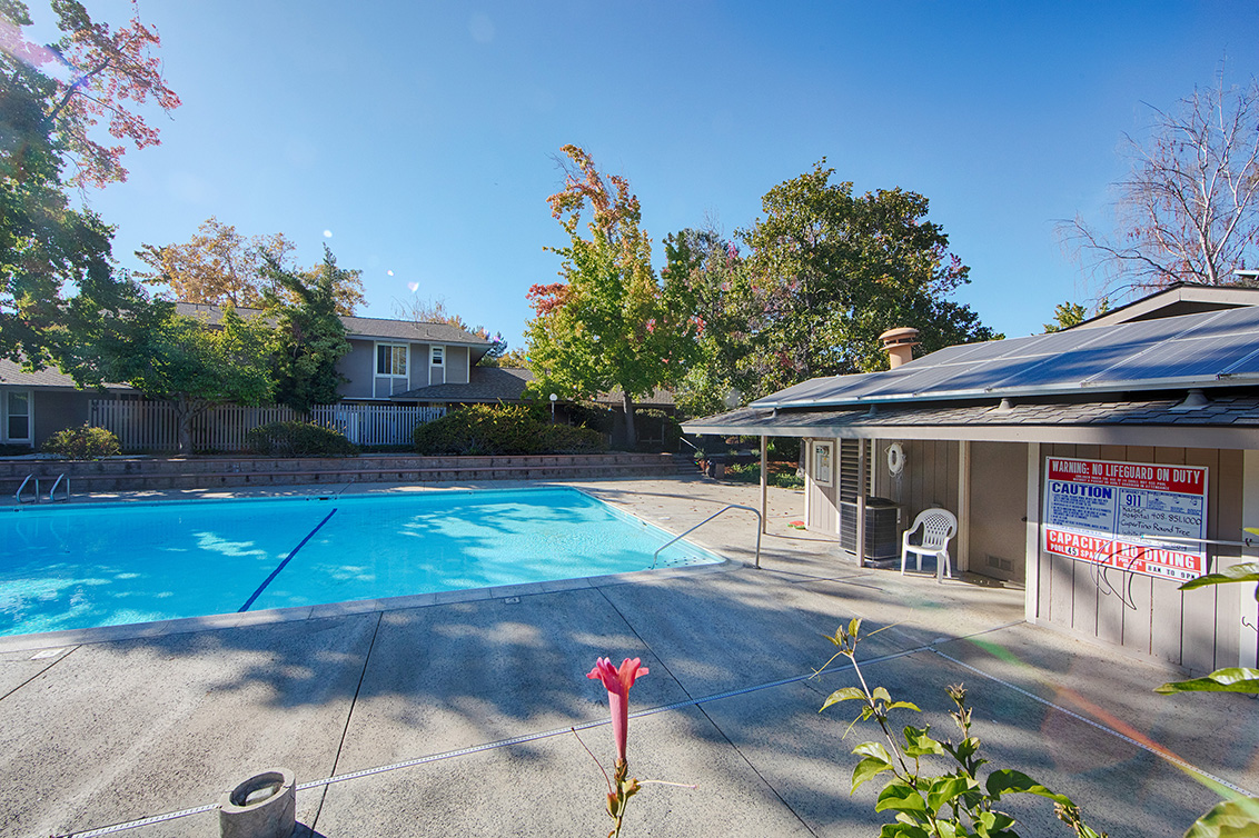 Swimming Pool (B) Picture - 10584 White Fir Ct, Cupertino 95014 Swimming Pool (B) picture - 10584 White Fir Ct, Cupertino 95014