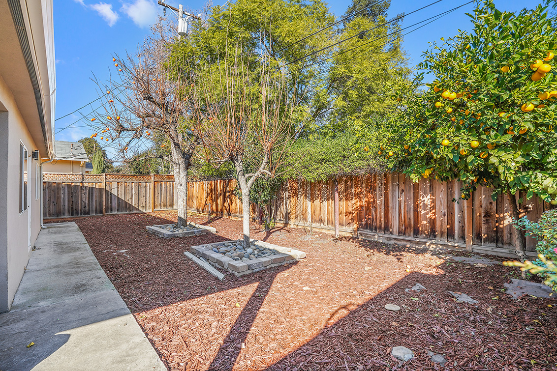 Backyard (A) Picture - 1342 Forrestal Ave, San Jose 95110 Backyard (A) picture - 1342 Forrestal Ave, San Jose 95110