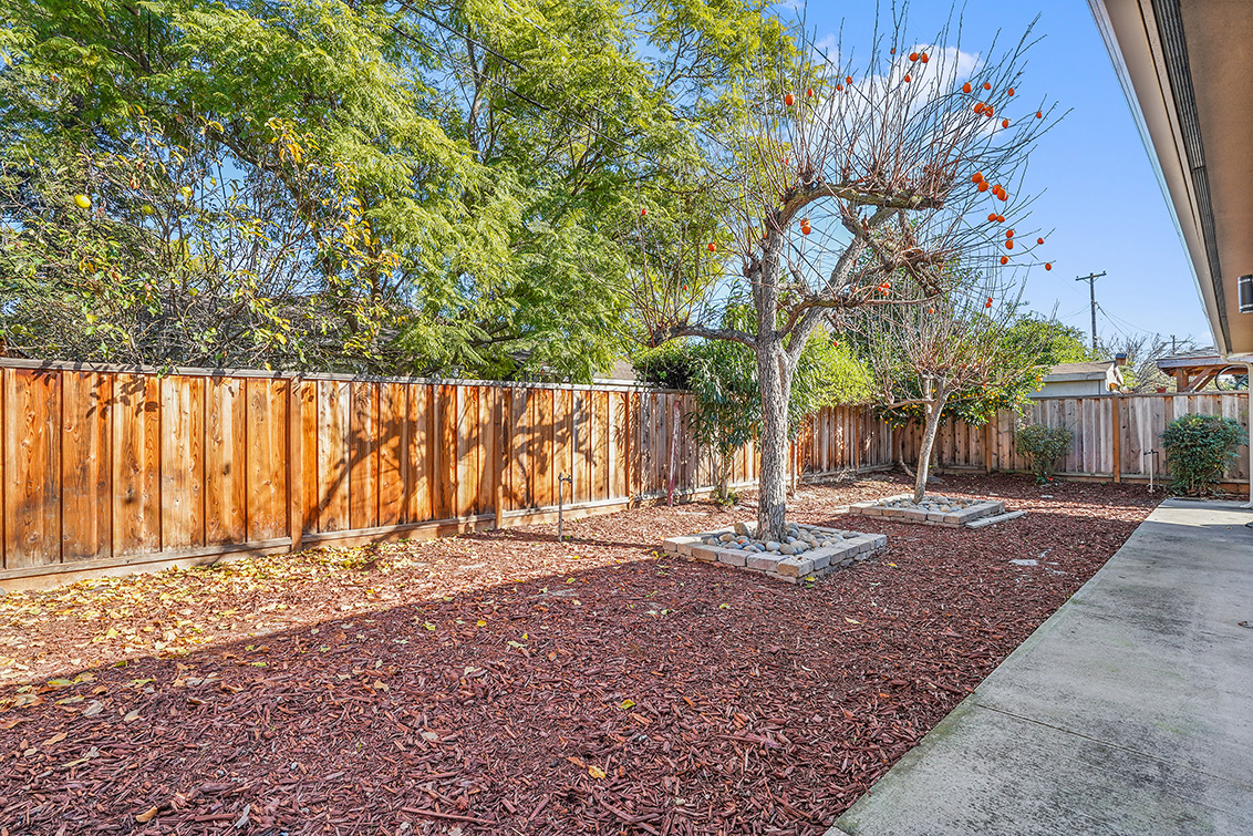 Backyard (B) Picture - 1342 Forrestal Ave, San Jose 95110 Backyard (B) picture - 1342 Forrestal Ave, San Jose 95110