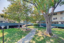 7150 Rainbow Dr 21, Cupertino