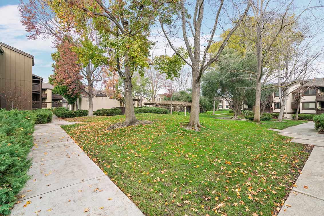 Common Area (C) Picture - 765 San Antonio Rd 56, Palo Alto 94303 Common Area (C) picture - 765 San Antonio Rd 56, Palo Alto 94303