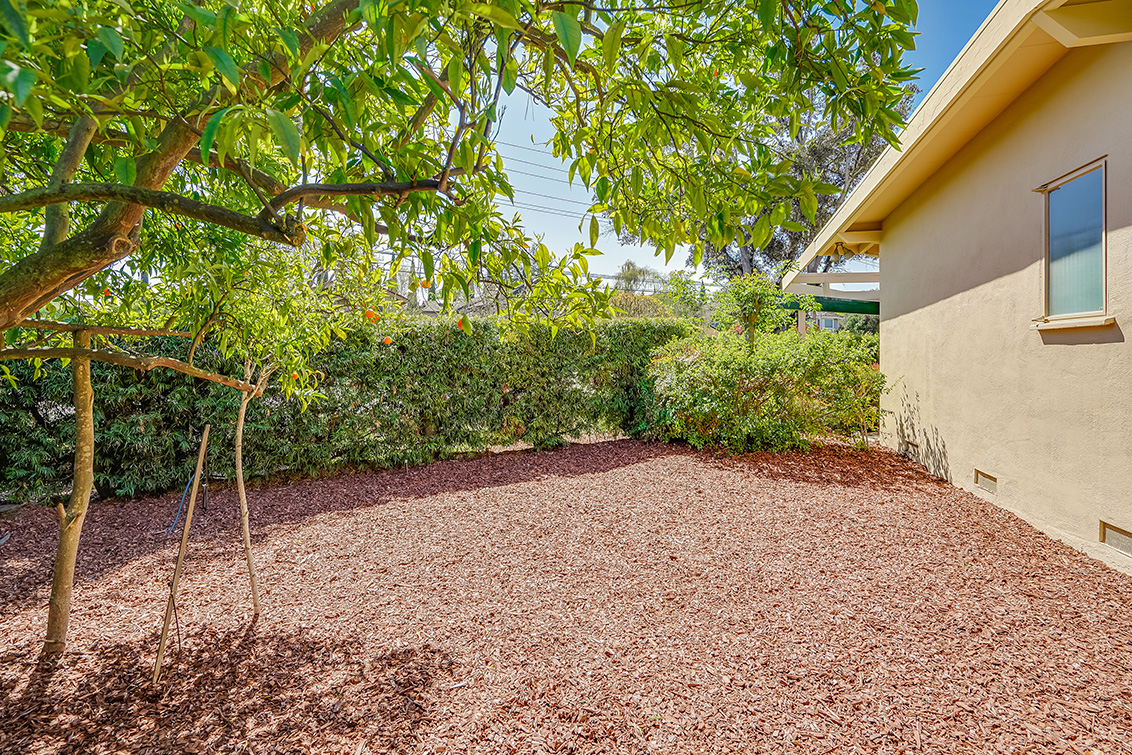 Side Yard (A) picture - 869 E Meadow Dr, Palo Alto 94303