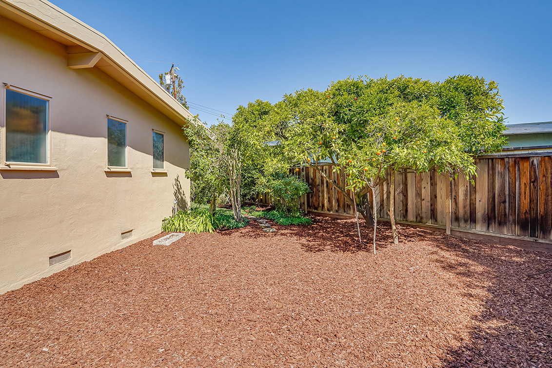 Side Yard (B) picture - 869 E Meadow Dr, Palo Alto 94303