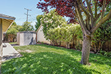 144 Walter Hays Dr, Palo Alto 94303 - Back Lawn (B)