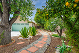 1725 Fremont St, Santa Clara 95050 - Backyard Walk (A)
