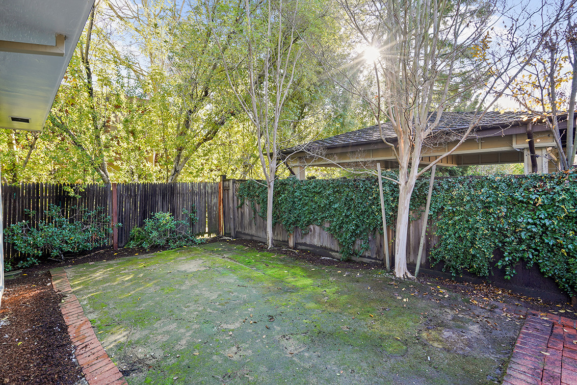 Backyard (A) Picture - 1260 University Ave, Palo Alto 94301 Backyard (A) picture - 1260 University Ave, Palo Alto 94301