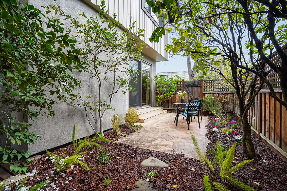 Side Yard (A) picture - 678 Webster St, Palo Alto 94301
