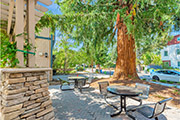 5 Artisan Way, Menlo Park 94025 - Common Area (A)