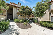 20676 Celeste Cir, Cupertino 95014 - Celeste Cir 20676 