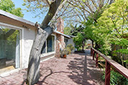 3810 Grove Ave, Palo Alto 94303 - Backyard (C)