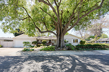 3810 Grove Ave, Palo Alto