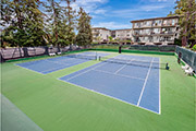 801 N Humboldt St #314, San Mateo 94401 - Tennis Courts 