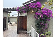 649 Minnesota Ave, San Jose 95125 - Patio Near Garage (A)