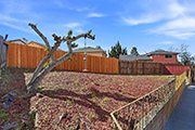 2767 Winchester Dr, Hayward 94541 - Backyard (A)