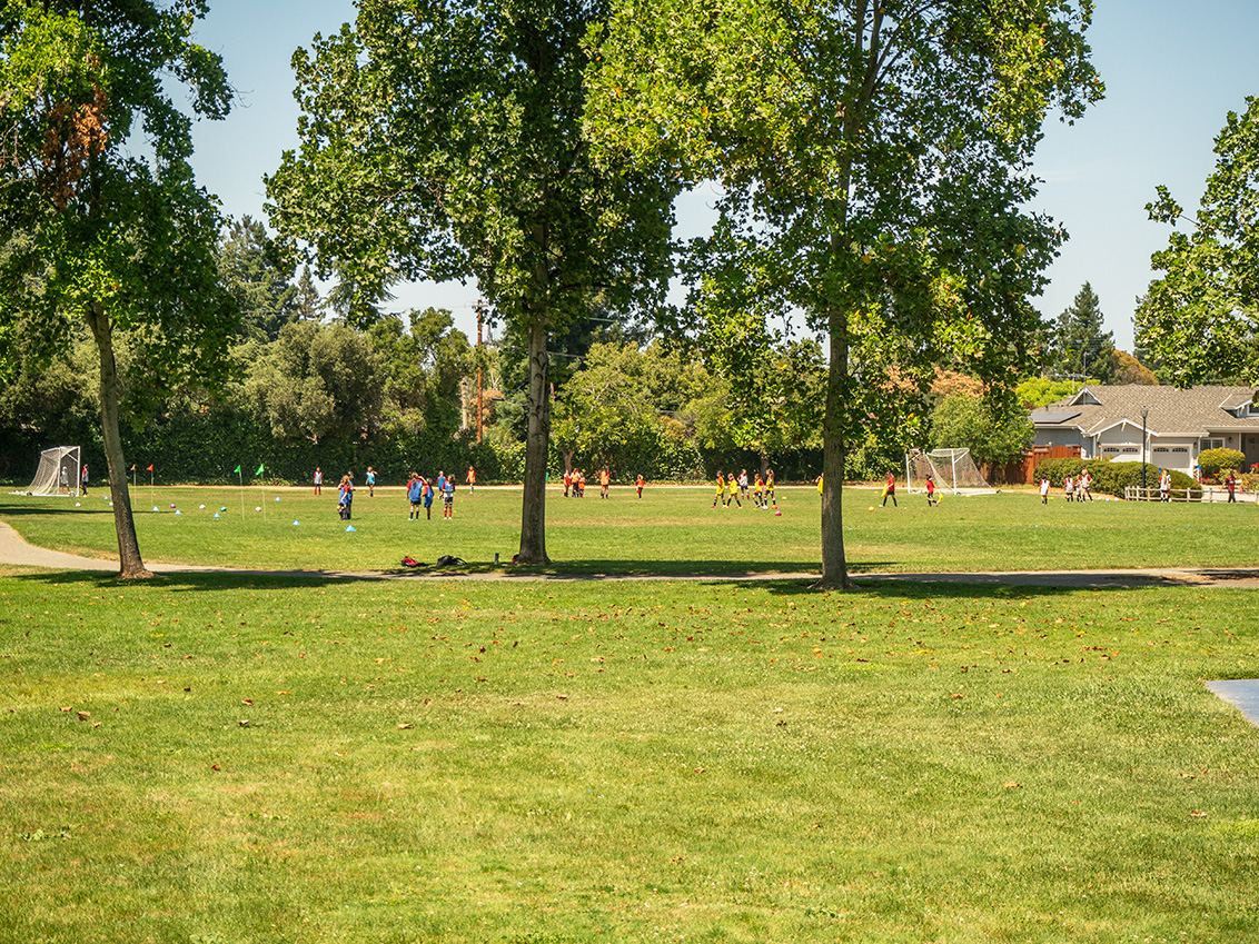 Grant Park - Los Altos, CA