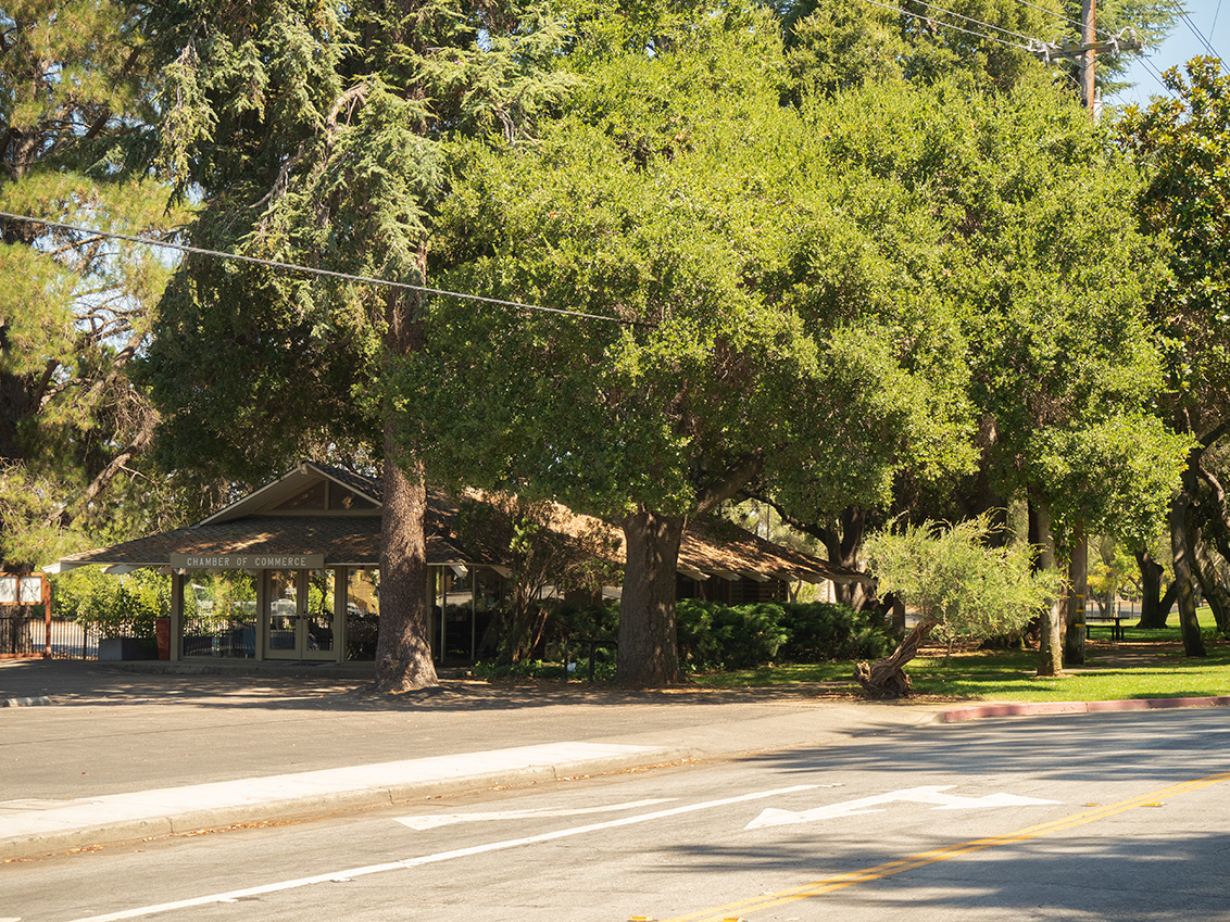 Lincoln Park - Los Altos, CA