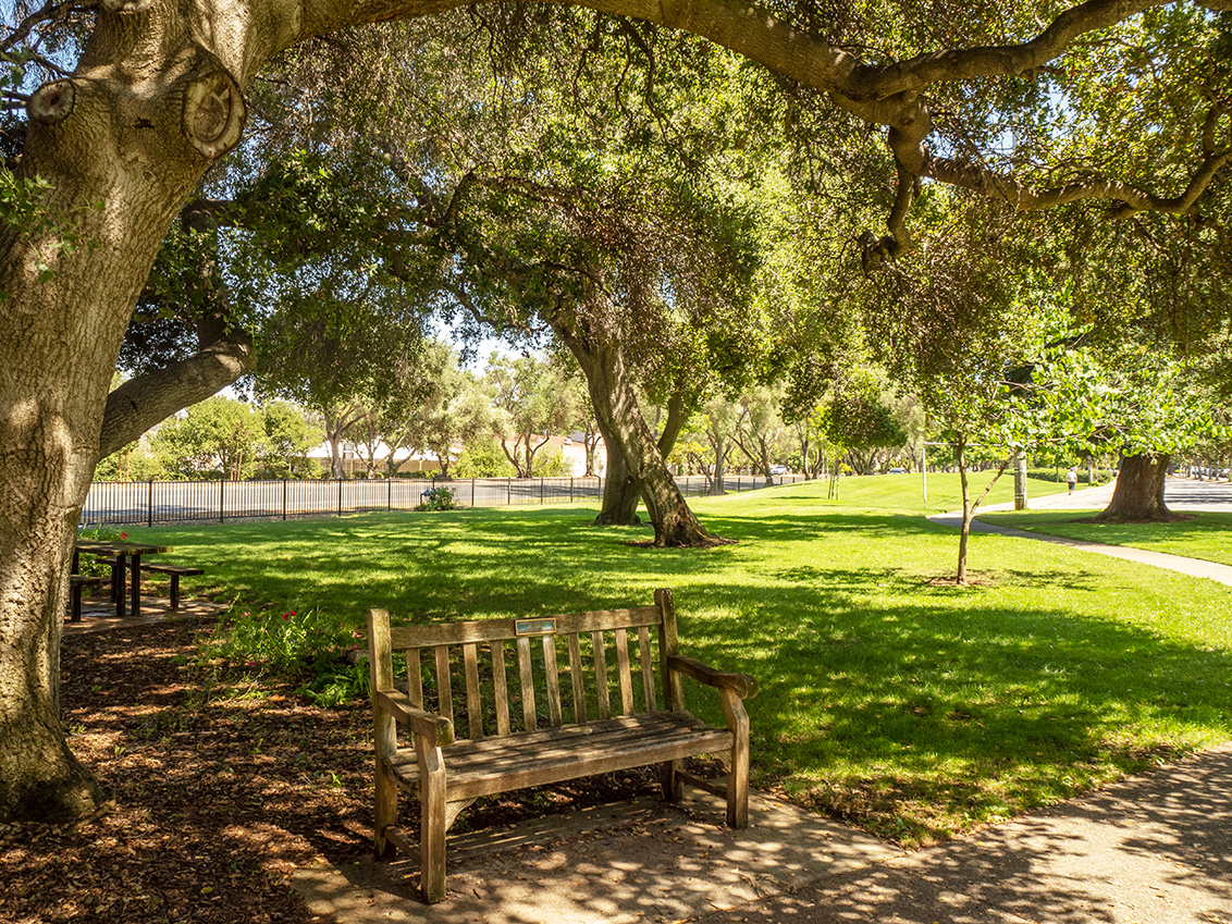 Lincoln Park - Los Altos, CA