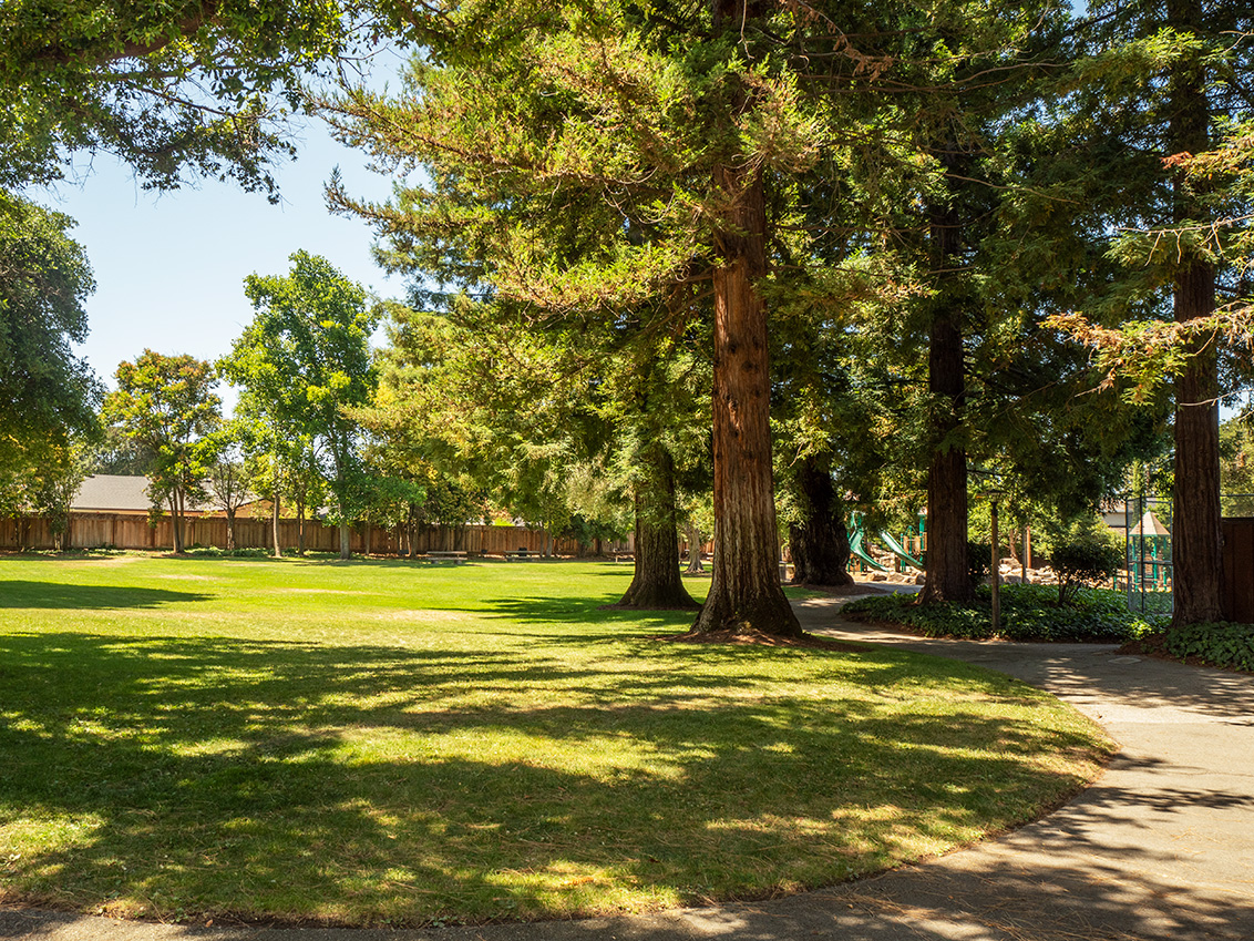 Marymeade Park - Los Altos, CA