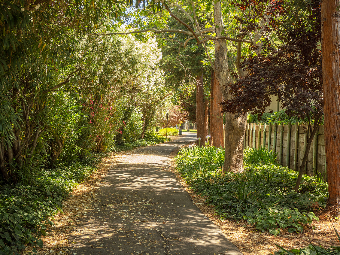 McKenzie Park - Los Altos, CA