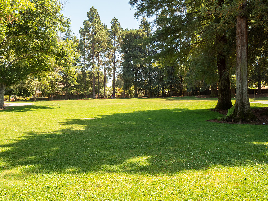 McKenzie Park - Los Altos, CA