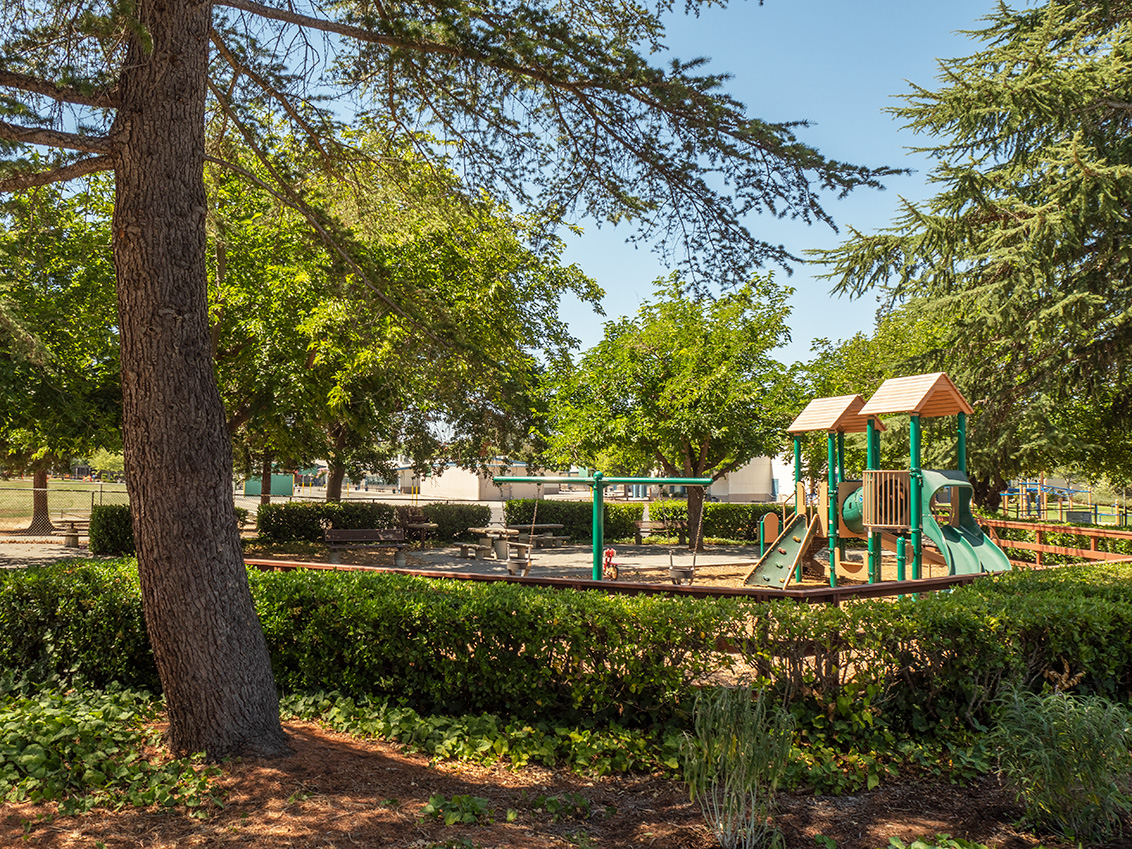 Montclaire Park - Los Altos, CA