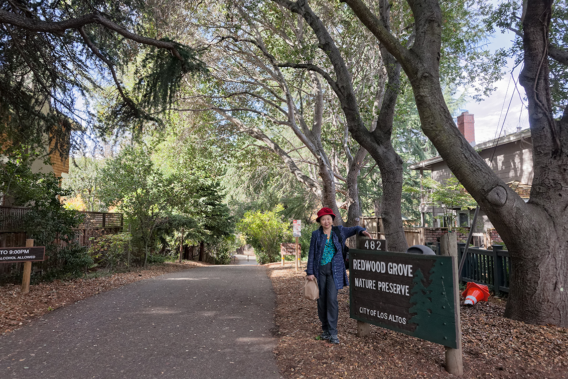 Redwood Grove Park - Los Altos, CA