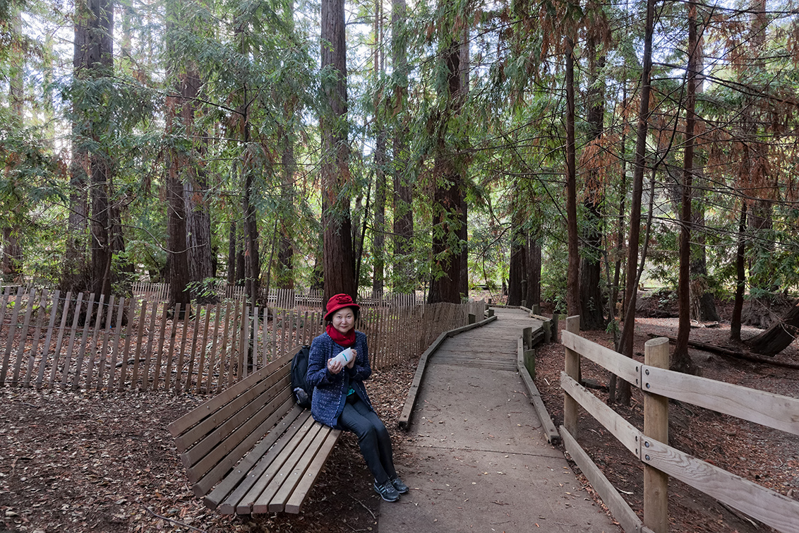 Redwood Grove Park - Los Altos, CA