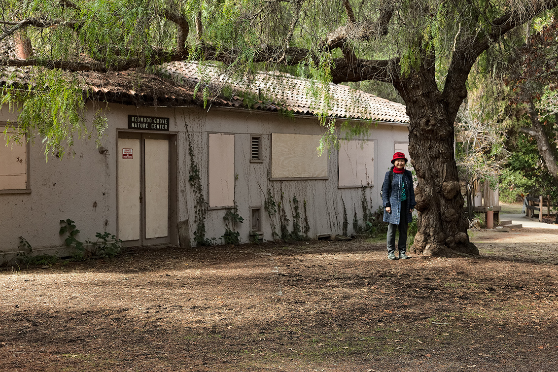 Redwood Grove Park - Los Altos, CA