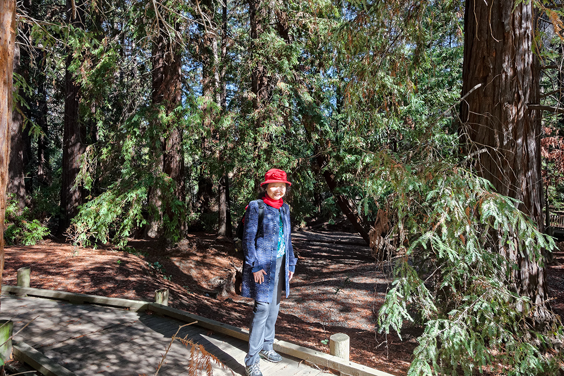 Redwood Grove Park - Los Altos, CA