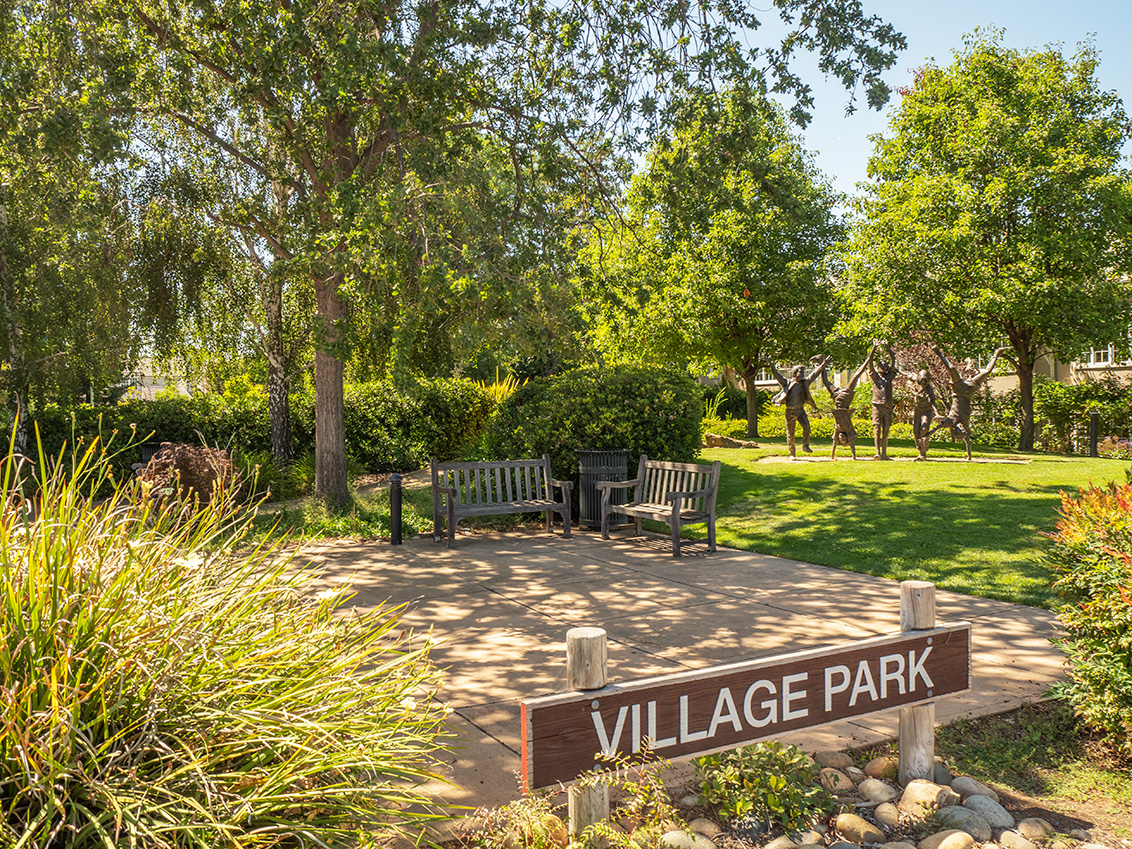 Village Park - Los Altos, CA