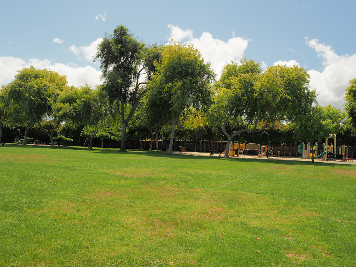 Monta Loma Park - Mountain View, CA