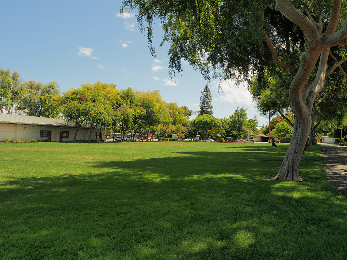 Monta Loma Park - Mountain View, CA
