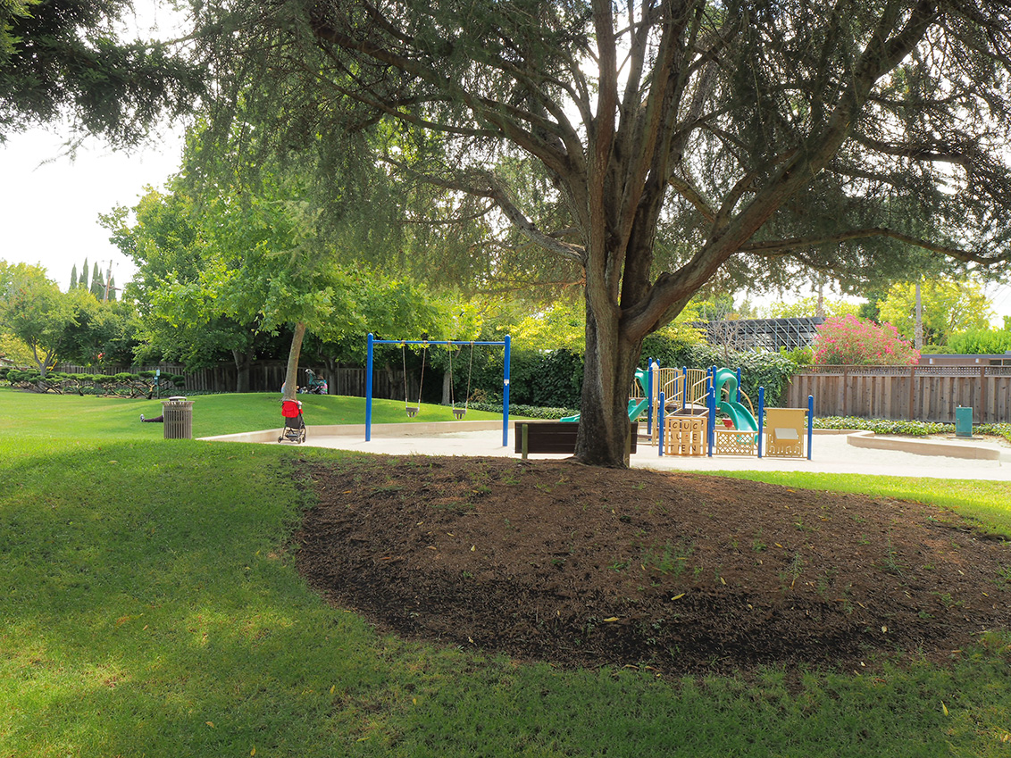 Thaddeus Park - Mountain View, CA