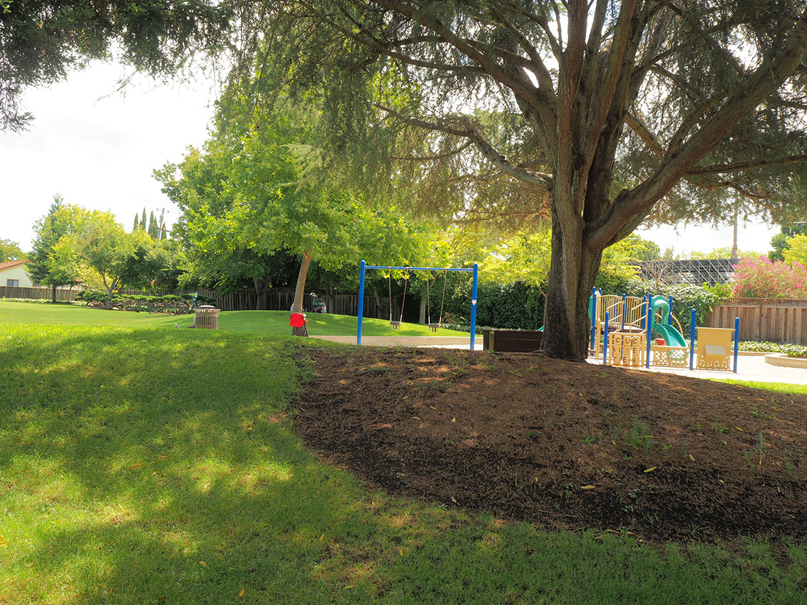 Thaddeus Park - Mountain View, CA