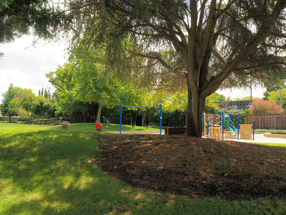 Thaddeus Park - Mountain View, CA