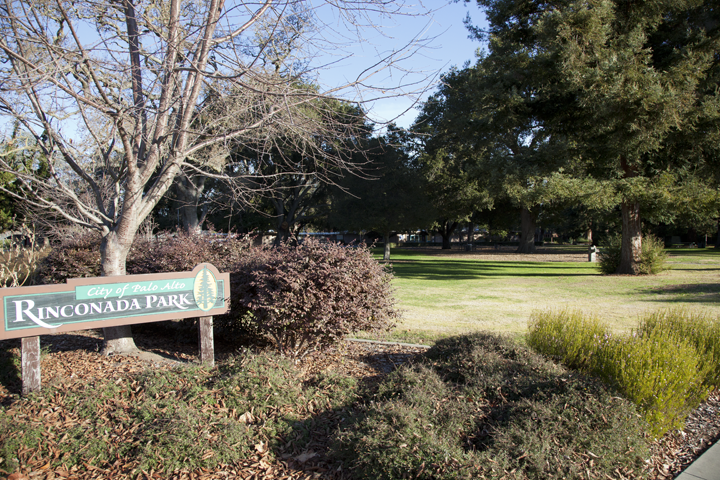 Rinconada Park - Palo Alto, CA